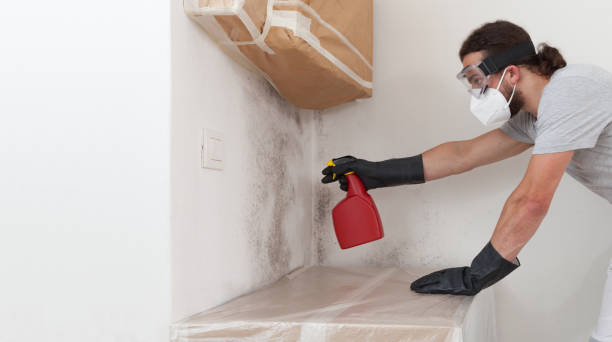 Professional Mold Removal technician working in Monroe Township, NJ