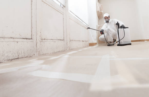24/7 Emergency Mold Removal experts in Monroe Township, NJ